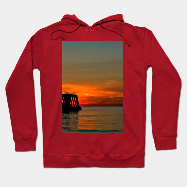 Sunrise, seagulls and silhouettes Hoodie by Violaman